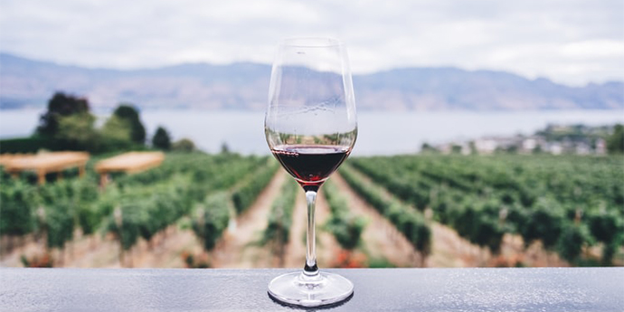 To realise value, SA Wine needs to speak with one